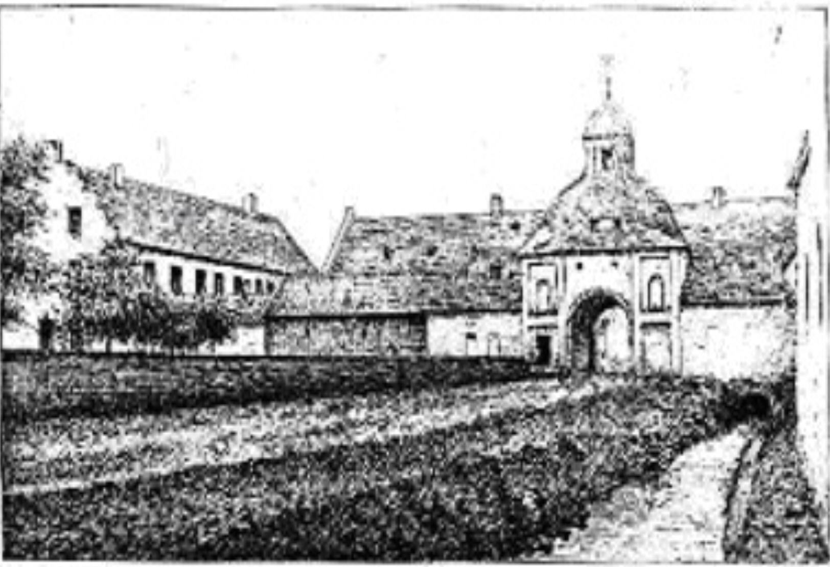 Cartusiana