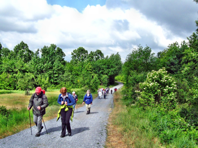 Wanderung des Eifelvereins auf der Sophienhöhe