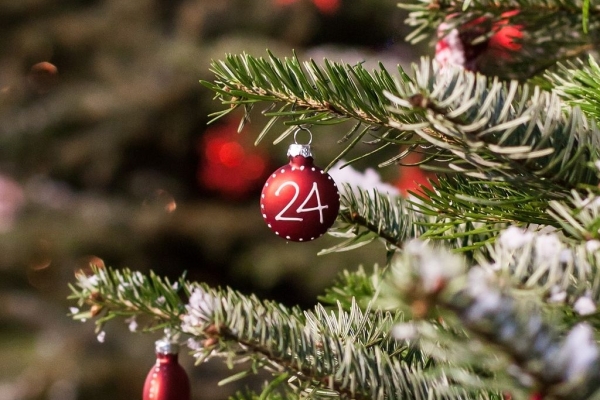 Bild: Ein Teil eines geschmÃ¼ckten Weihnachtsbaums ist zu sehen. An einem Ast hÃ¤ngt eine rote Kugel mit der Zahl 