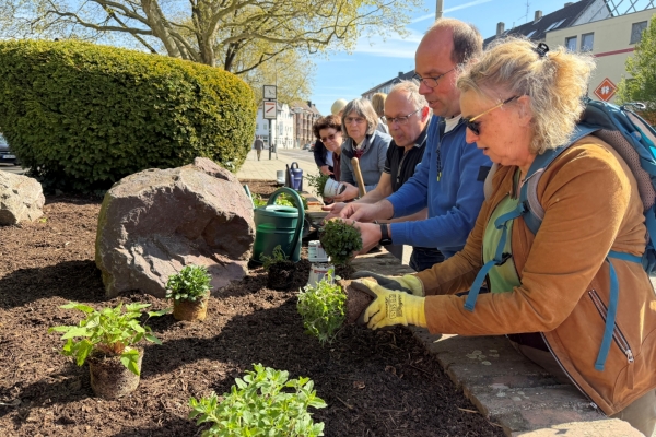 PR 213 - Blühende Beete statt grauem Pflaster 01.jpg