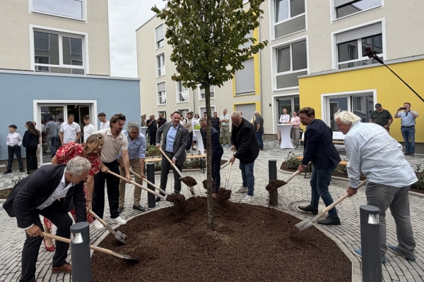 mehrere Menschen mit Schaufeln um einen Baum herum
