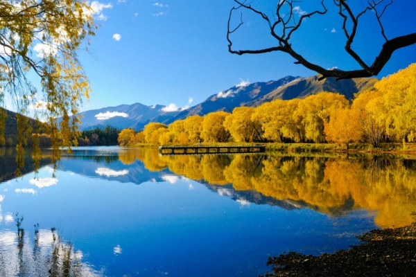 Neuseeland - grünes Paradies im Südpazifik Bild: See mit herbstlich verfärbten Bäumen am Ufer