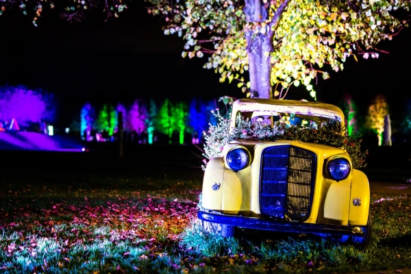 Bild: Nachtaufnahme: Ein mit Blumen bepflanztes Auto steht im Vordergrund. Hinten sieht man die beleuchteten BÃ¤ume.