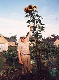 Horst von Malottki